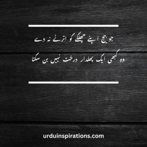 20 Inspirational Quotes in Urdu